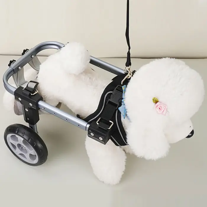 Entraînement de rééducation fauteuil roulant réglable pour chien pour jambes arrière pour chiens handicapés Support en aluminium léger chariot de mobilité pour animaux de compagnie