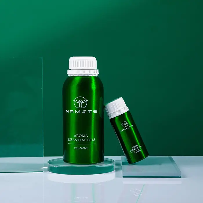 NAMSTE huile essentielle d'hôtel aromatique électrique vente diffuseur de plantes pures huiles essentielles Oasis dispositif parfumé désodorisant domestique