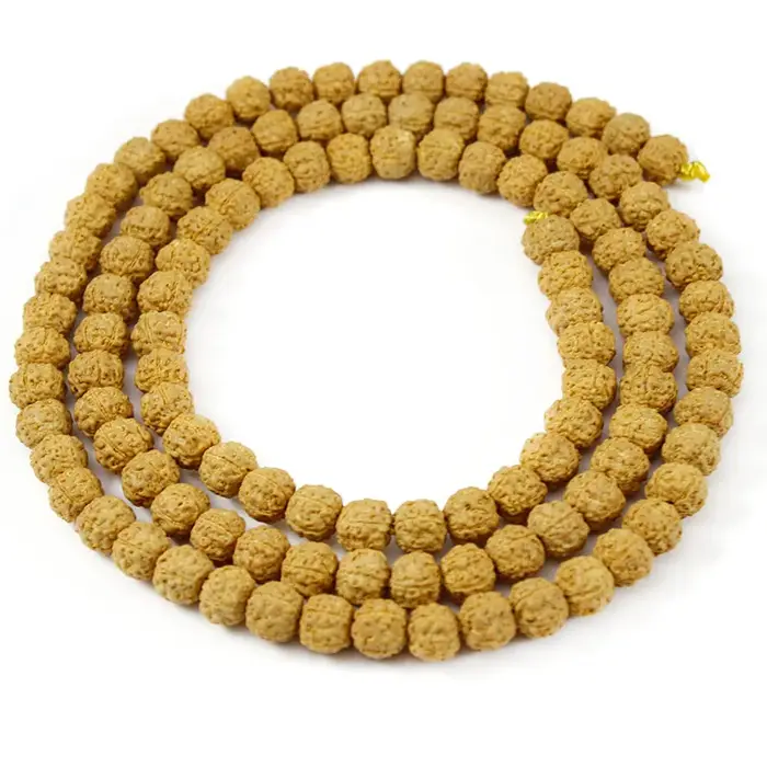 Rudraksha Mala-Perles Bouddhistes Naturelles de 6