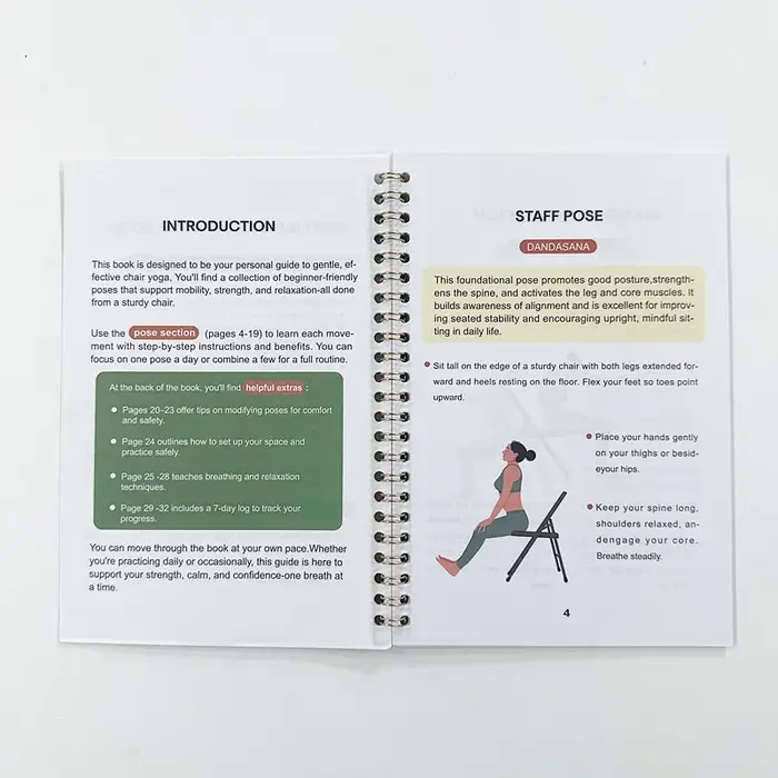 Exercices de chaise pour personnes âgées – Livre de force de 28 jours