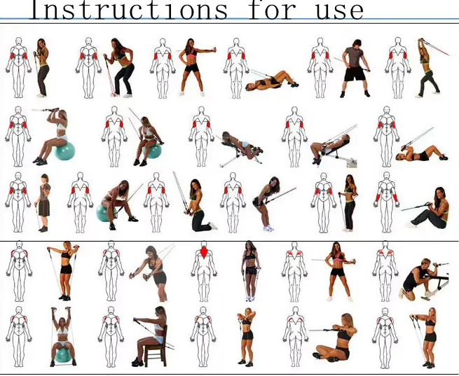 Bandes de Résistance Crossfit