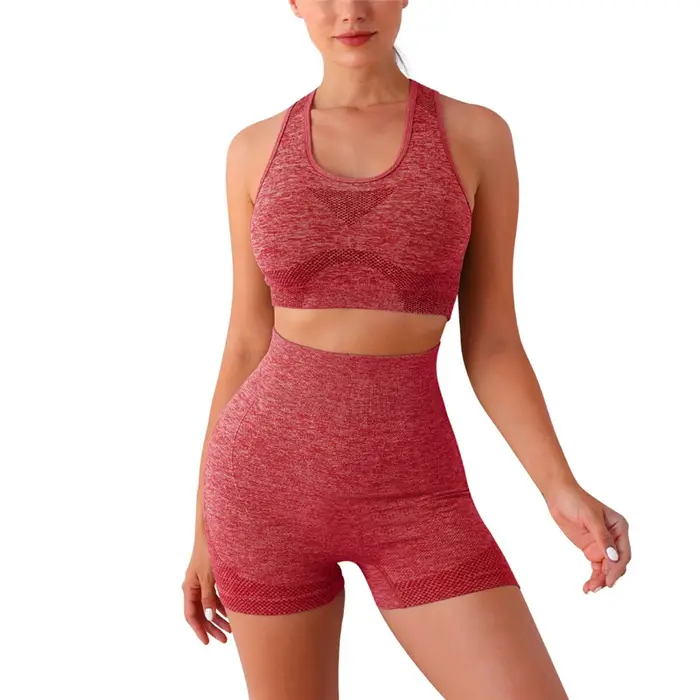 Ensemble de Yoga 2 pièces sans couture pour femmes