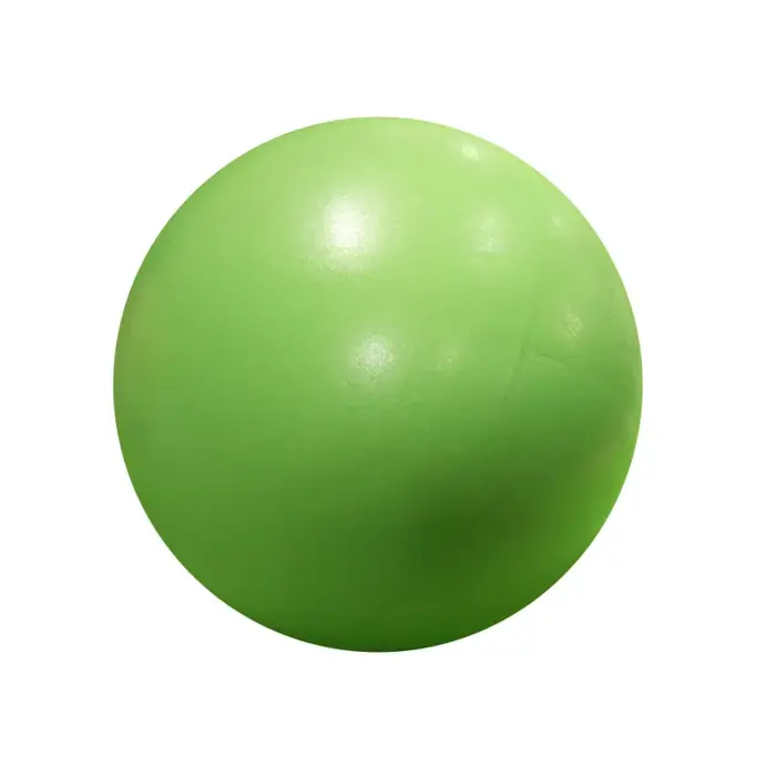 25 cm exercice gymnastique Fitness Pilates balle