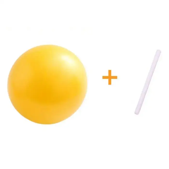 Ballon de Yoga et Pilates Anti-Explosion pour Exercices de Gymnastique