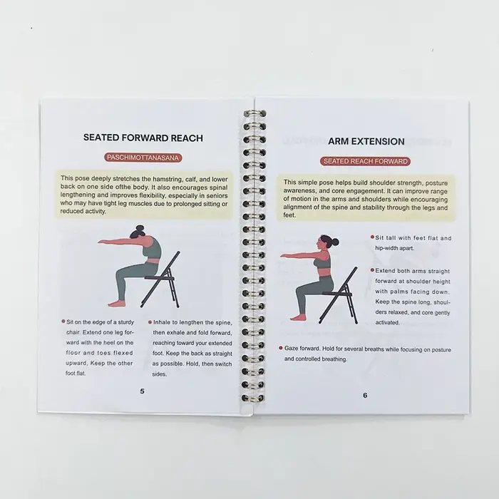 Exercices de chaise pour personnes âgées – Livre de force de 28 jours