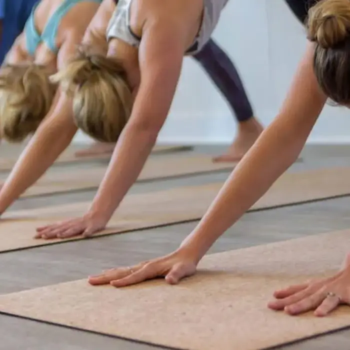 Tapis de Yoga TPE en liège naturel