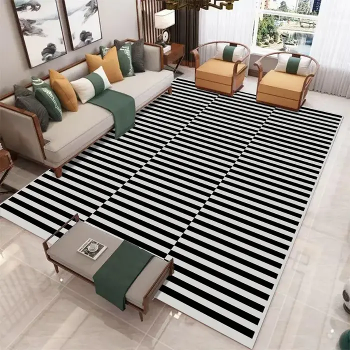 Tapis minimaliste moderne pour salon