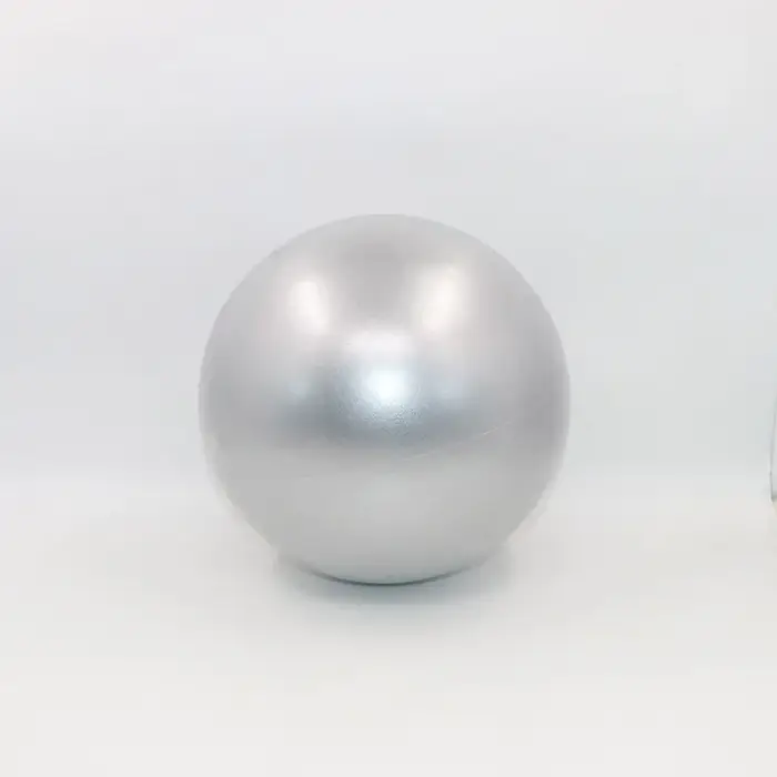 1PC Ballon d'exercice givré épaissi avec clip dorsal