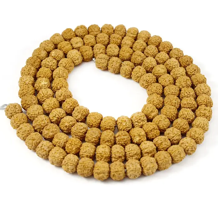 Rudraksha Mala-Perles Bouddhistes Naturelles de 6