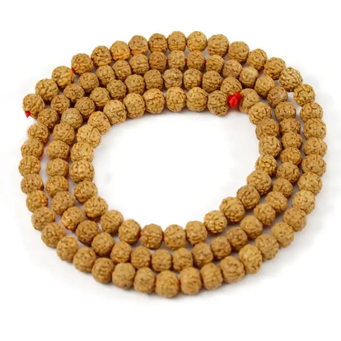Rudraksha Mala-Perles Bouddhistes Naturelles de 6
